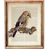 Nature Bird on Branch Wall Decor