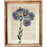 Botanical Daisy Wall Decor - Elegant Flower Wall Hanging Blue Dictionary Art Print Poster