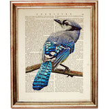 Perched Bird on Branch Dictionary Print