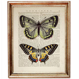 Book page print showcasing a pair of butterflies