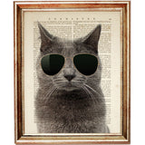 Hipster Cat with Sunglasses Dictionary Print
