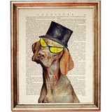 Dog with Top Cat and Yellow Sunglasses Chic Animal Characters Dictionary Art Prints Bundle