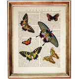 Fluttering Butterflies Wall Decor