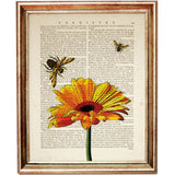 Botanical Illustration: Gerbera and Bees Artwork