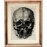 Leonardo Da Vinci Anatomy Poster Collection