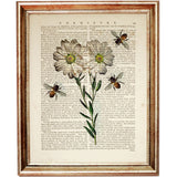 Botanical illustration print showcasing a white daisy and buzzing bees