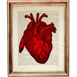 anatomical heart illustration printed on dictionary page