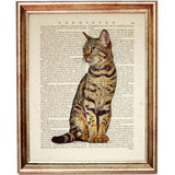Elegant Bengal cat looking to the side, vintage-style illustration over a book page