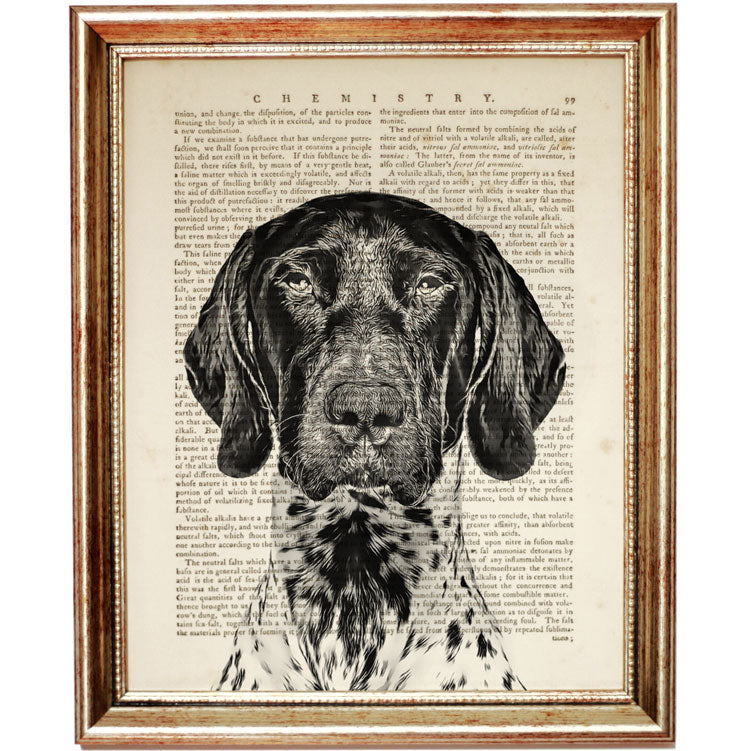 German shorthaired pointer wall sales art