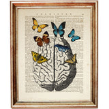 brain anatomy illustration with colorful butterflies on a vintage dictionary book page, creative wall decor