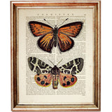 Set of 8 Colorful Butterflies Dictionary Art Prints, Nature Wall Decor