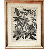 Set of 8 Flower Dictionary Art Prints, Monochromatic Blooms Poster