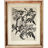 Set of 8 Flower Dictionary Art Prints, Monochromatic Blooms Poster