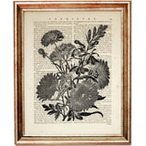 Set of 8 Flower Dictionary Art Prints, Monochromatic Blooms Poster