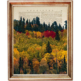 Set of 8 Forest Dictionary Art Prints, Enchanted Forest Poster