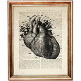 Detailed labeled heart anatomy illustration over a vintage dictionary page