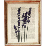 Set of 4 Botanical Dictionary Art Prints, Lavender Dreams Wall Decor