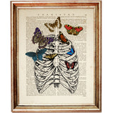 rib cage anatomy illustration with colorful butterflies resting on the bones, printed over a vintage dictionary page