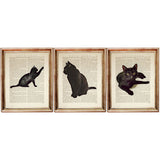 Set of three black cat illustrations featuring playful and relaxed poses, printed on antique book pages