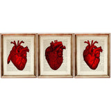 Set of 3 anatomical heart art prints on vintage dictionary pages with deep red medical wall decor
