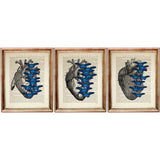 Set of 3 anatomical heart art prints with blue butterflies, printed on antique dictionary pages
