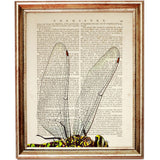 Charming Dragonfly Dictionary Print - Rustic Wall Art Decor