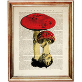 Mushroom Dictionary Art Prints, Set of 3 Wall Decor Nature Trio