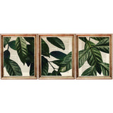 Set of 3 Palm Leaf Botanical Dictionary Art Prints - Greenery Wall Decor