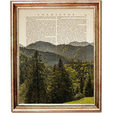 Set of 3 Forest Dictionary Art Prints, Wall Decor with Landscape, Trees, and Nature