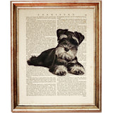 Miniature Schnauzer Poster, Dog Dictionary Art Prints Set