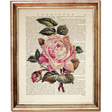 Set of 4 Rose Dictionary Art Prints, Pretty in Pink Roses Wall Decor