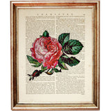 Set of 4 Rose Dictionary Art Prints, Pretty in Pink Roses Wall Decor