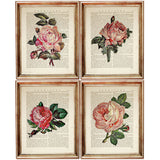 Set of 4 Rose Dictionary Art Prints, Pretty in Pink Roses Wall Decor