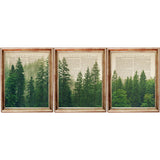 Forest Wall Art Set of 3, Pine Nature Dictionary Art Prints 8x10