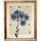 Botanical Dictionary Art Prints Set of3  Sunflower, Bees, Lavender, Blue Daisy - 8x10 Wall Decor