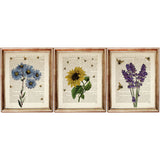 Botanical Dictionary Art Prints Set of3  Sunflower, Bees, Lavender, Blue Daisy - 8x10 Wall Decor
