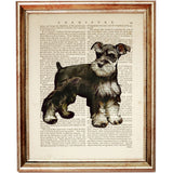 Miniature Schnauzer Poster, Dog Dictionary Art Prints Set