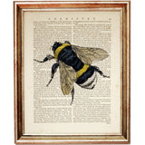 Set of 4 Botanical & Bee Dictionary Art Prints, Botanical Buzz Artwork