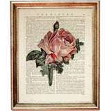 Set of 4 Rose Dictionary Art Prints, Pretty in Pink Roses Wall Decor