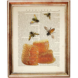 Set of 4 Botanical & Bee Dictionary Art Prints, Botanical Buzz Artwork