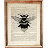Set of 4 Black & White Bees Dictionary Art Prints, Timeless Buzz Decor