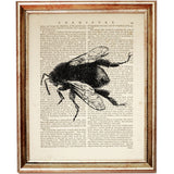Set of 4 Black & White Bees Dictionary Art Prints, Timeless Buzz Decor