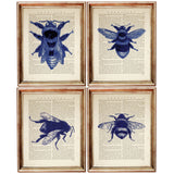 Set of 4 Bee Dictionary Art Prints, Buzzing Beauties Wall Decor