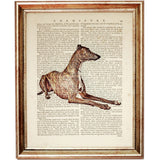 Set of 4 Italian Greyhound Dogs Dictionary Art Prints, Eleganza Canina