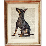 Manchester Terrier Dog Art Print, Canine Wall Decor, Dog Lovers Poster