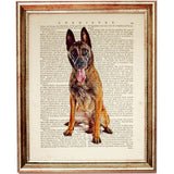 Unleash Your Love for Dogs with Belgian Malinois Dictionary Art Print