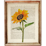 Sunflower Decor Dictionary Art Print 8x10, Flower Poster, Botanical Wall Decor