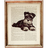 Schnauzer Mini Art Set - 2 Piece Dictionary Prints Wall Decor