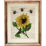 Sunflower with Bees Set of 2 Dictionary Art Prints: Nature's Beauty