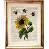 Sunflower with Bees Set of 2 Dictionary Art Prints: Nature's Beauty